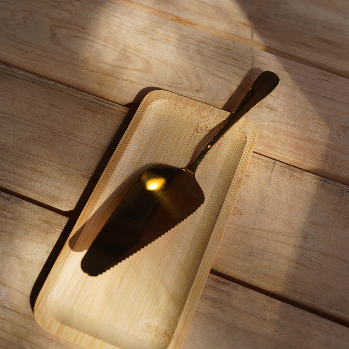 Close up image of the Cake Server