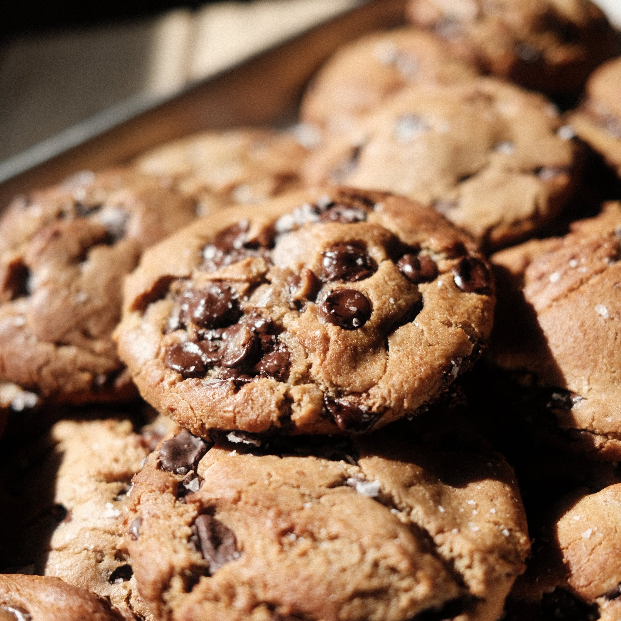 A tray of gluten free miso chocolate chip cookies! 